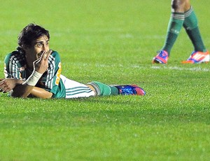 Valdivia,  Palmeiras x Coritiba (Foto: Marcos Ribolli  / Globoesporte.com)