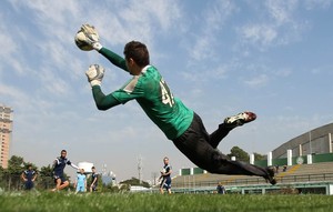 Palmeiras muda escalação nos oito jogos do jejum no Brasileirão