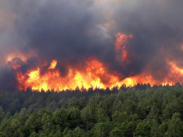 Incêndio florestal atinge a Floresta Negra, em Colorado Springs, segunda maior cidade do estado americano. O fogo na floresta foi o mais violento entre os incêndios que tem ocorrido nos últimos dias na região, destruindo mais de 3.200 hectares de mata. (Foto: Rick Wilking/Reuters)