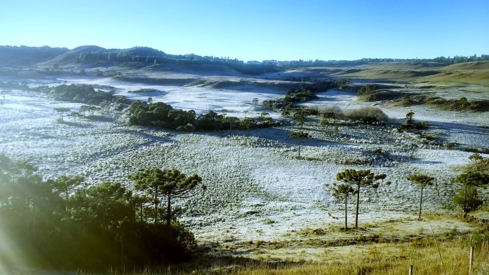 Geada deixou parte da vegetação branca na Serra de SC (Foto: Mycchel Hudsonn Legnaghi/São Joaquim Online)