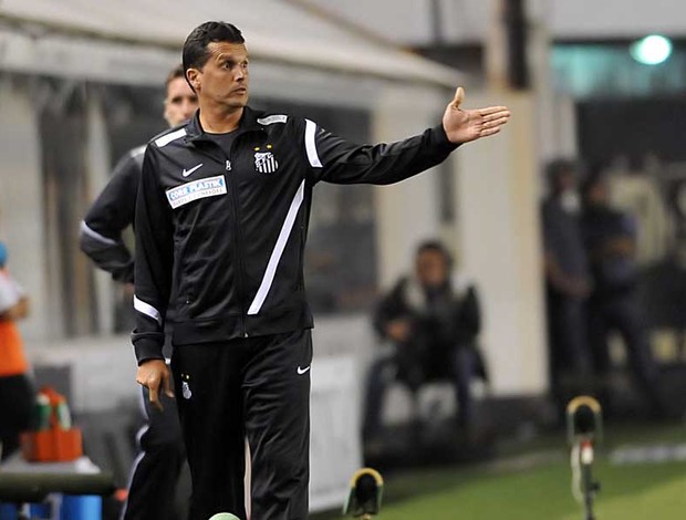 Claudinei Oliveira, treinador do Santos (Foto: Ivan Storti/Divulgação Santos FC)