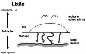 Formação do chorume (Foto: Reprodução/Colégio Qi)