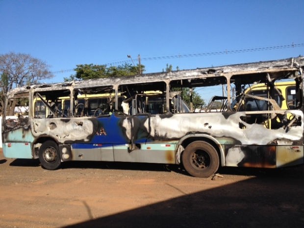 ônibus  (Foto: Alberto D'angele / RPC TV)