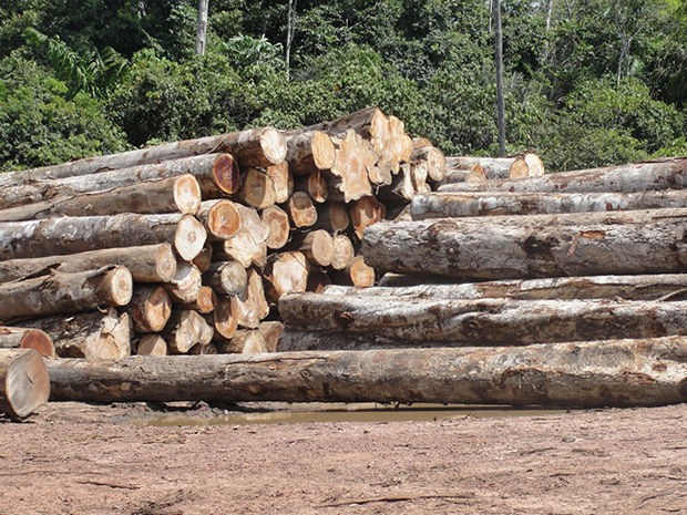 Mato Grosso é o estado que mais desmatou entre janeiro a outubro de 2012. (Foto: Secom-MT)