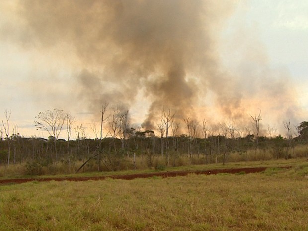 Fumaça do Incêndio na mata da USP Ribeirão pôde ser visto de longe (Foto: Maurício Glauco/ EPTV)