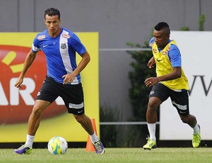 Cicinho Leandro Damião Santos (Foto: Ricardo Saibun/ Santos FC)