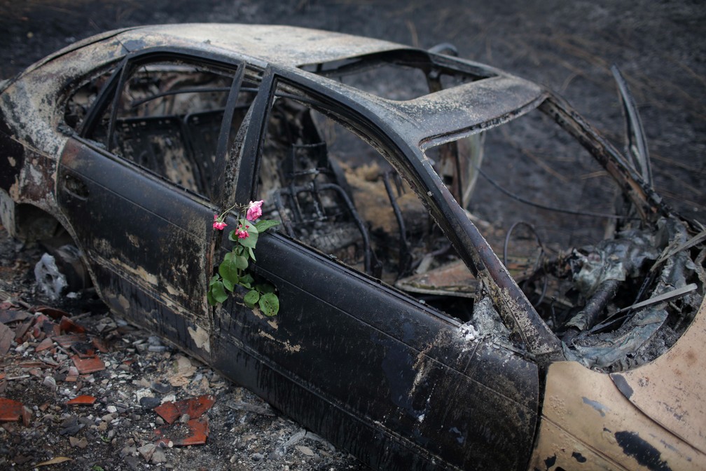 Rosas são vistas nos restos de um carro onde uma mulher morreu após incêndio na rodovia de Nodeirinho, perto de Pedrogão Grande, na região central de Portugal. O fogo no local deixou 63 mortos  (Foto: Armando Franca/AP)