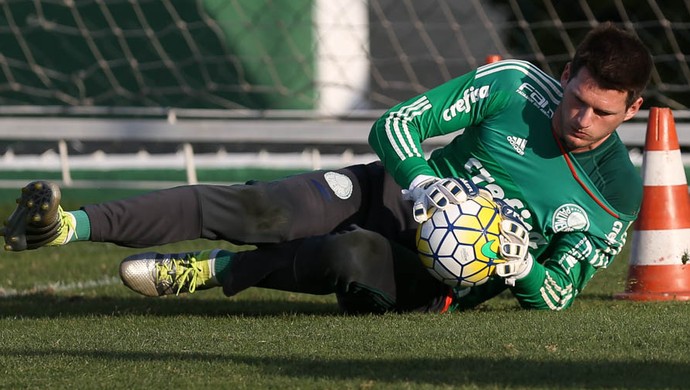 Vagner Palmeiras (Foto: Fabio Menotti/Ag.Palmeiras/Divulgação)