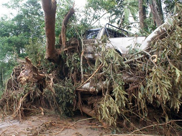 Carro fica preso entre pedaços de árvores em Itaóca, no Vale do Ribeira, interior de São Paulo (Foto: Gilmar dos Santos Araujo / VC no G1)