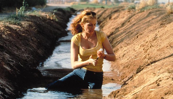 Assistir Filme Online Erin Brockovich Dublado Rede Globo Corujao Julia Roberts E Erin Brockovich Uma