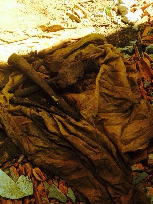 Ossada humana é encontrada enterrada dentro de fossa em Campo Grande (Foto: Divulgação/Polícia Civil)