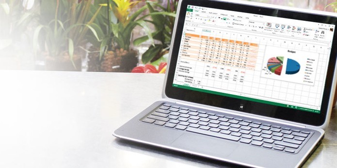 Microsoft Excel (Foto: Divulgação/Microsoft)