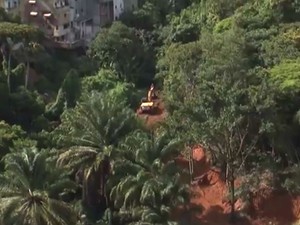 Área de preservação ambiental foi desmatada durante carnaval em Salvador (Foto: Reprodução/TV Bahia)