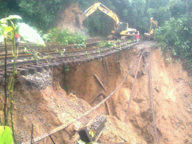 Ferrovia da Serra do Mar (Foto: Rogério Pinto dos Santos/Arquivo Pessoal)