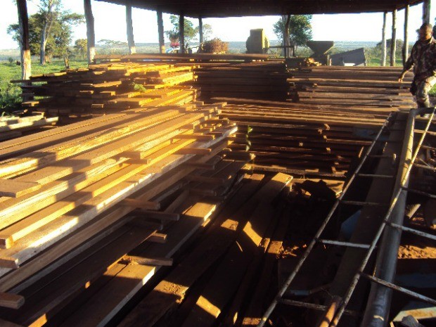 Foram apreendidos 105 m³ de madeira explorada sem autorização (Foto: Divulgação/PMA)