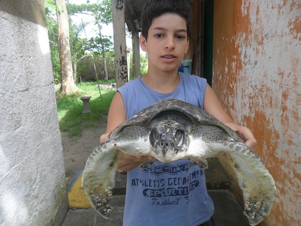 Tartarugas encontradas em Ilha Comprida, SP (Foto: Divulgação/ Cristian Negrão) Tartarugas encontradas em Ilha Comprida, SP (Foto: Divulgação/ Cristian Negrão)