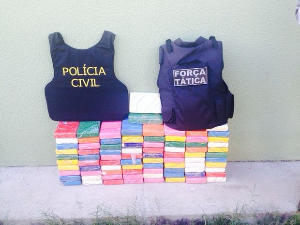 Cerca de 80 kg de cocaína pura foram apreendidos pela polícia (Foto: Polícia Civil/Divulgação)