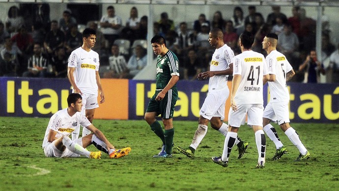 Palmeiras x Santos Cristaldo confusão (Foto: Marcos Ribolli)