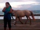 Cavalos circulam 
na orla de Salvador (Imagens/G1)