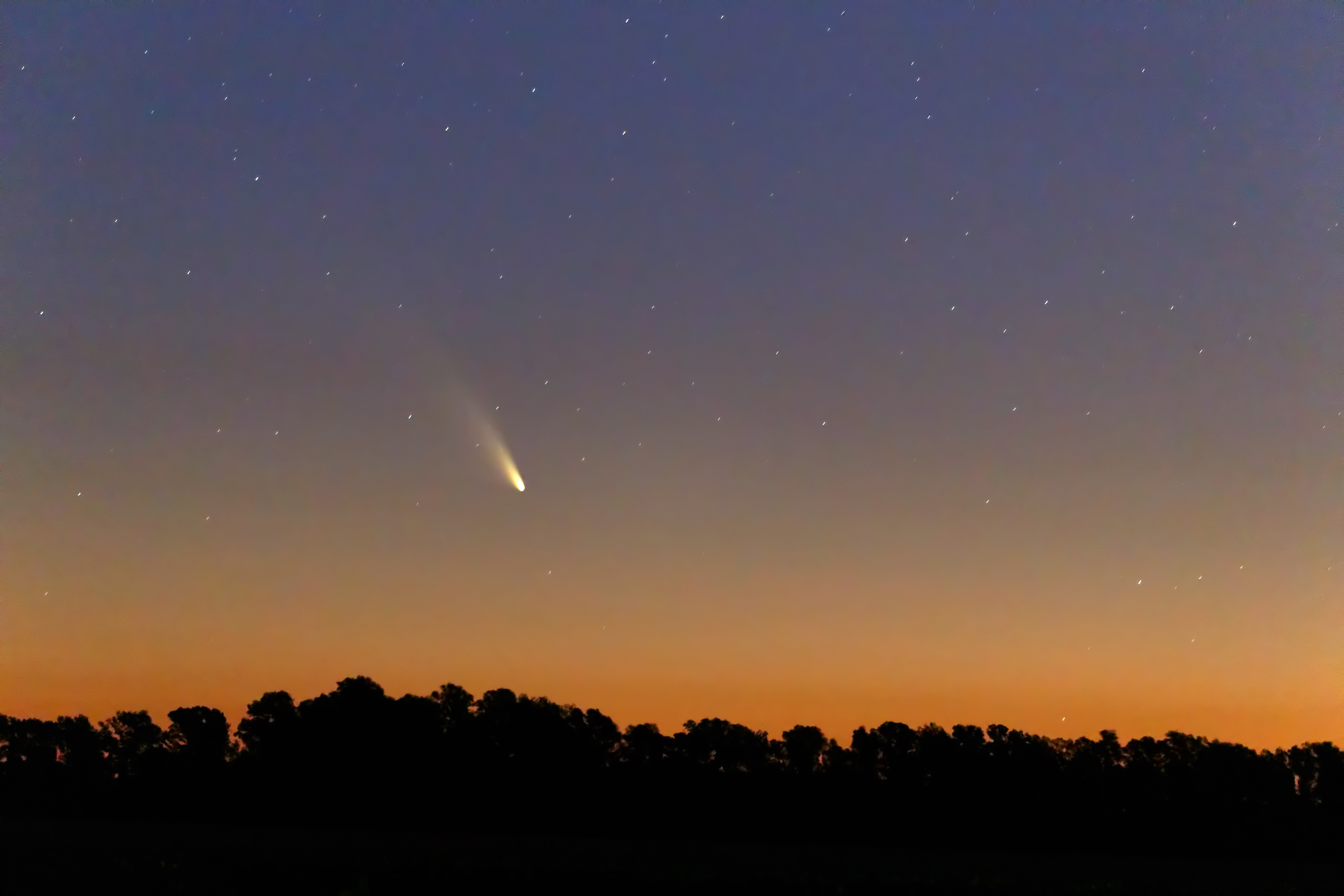 Cometa Pan-STARRS em março de 2013 (Foto: Luis Argerich/flickr/creative commons)