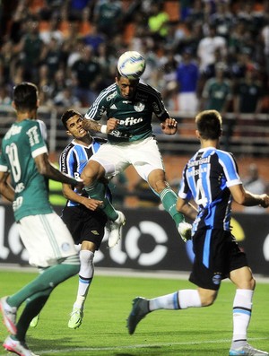 Palmeiras x Grêmio Barrios (Foto: Marcos Ribolli)