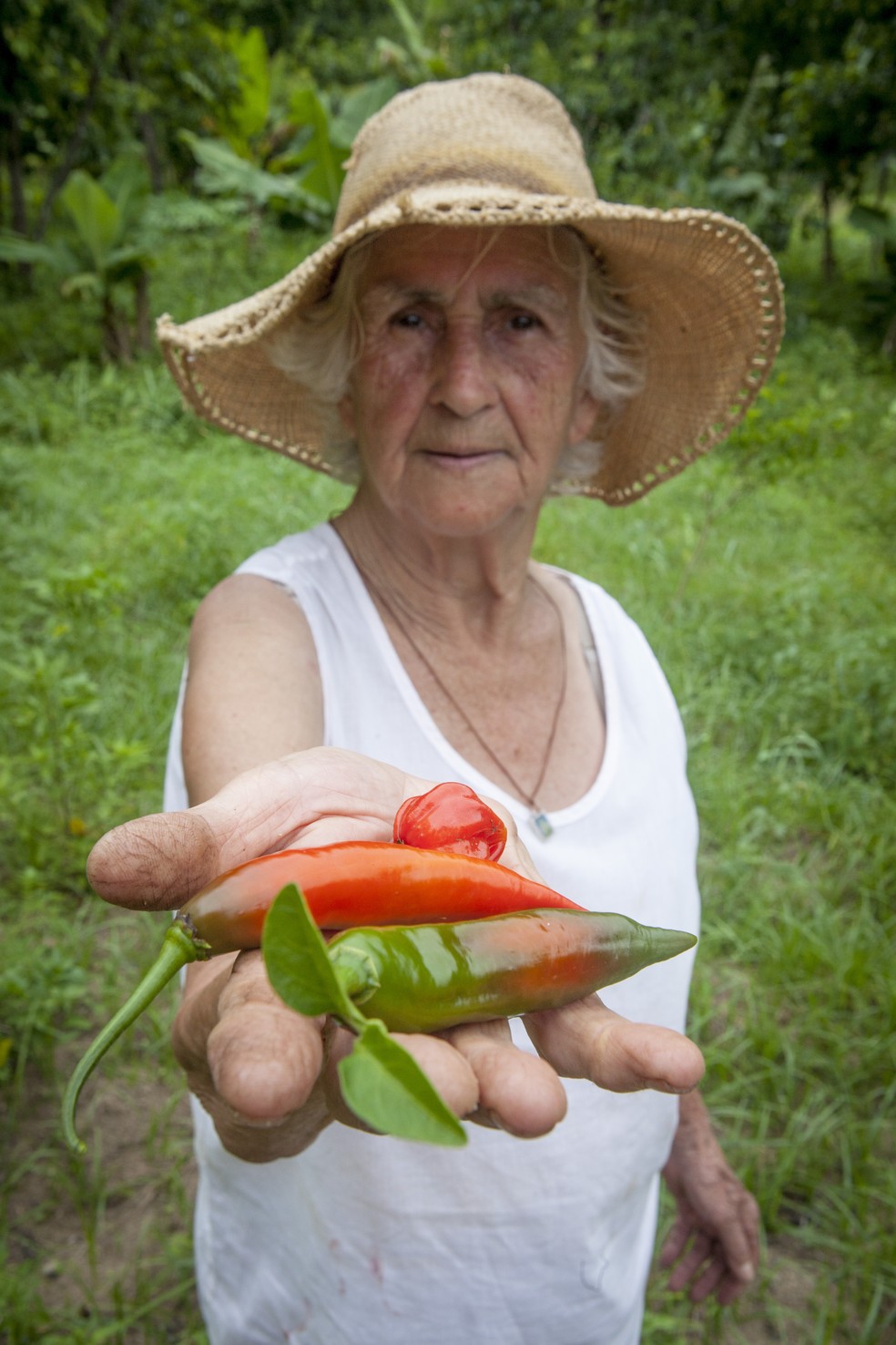 Produtora rural no Rio da Prata (Foto: Rafael Duarte)