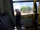 Cachorro toma até ônibus sozinho para ir atrás do dono