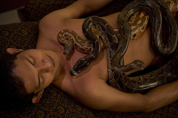 Ferdi Tilukay recebe a massagem corporal com cobras em spa na Indonésia (Foto: Romeo Gacad/AFP)