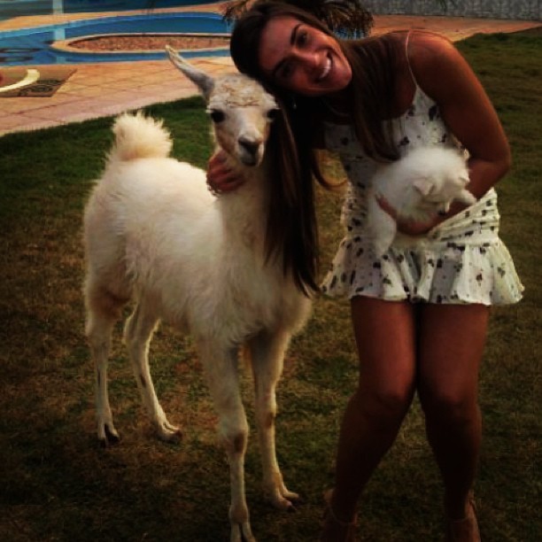 Nicole Bahls posa com lhama e cachorrinho (Foto: Reprodução_Instagram)