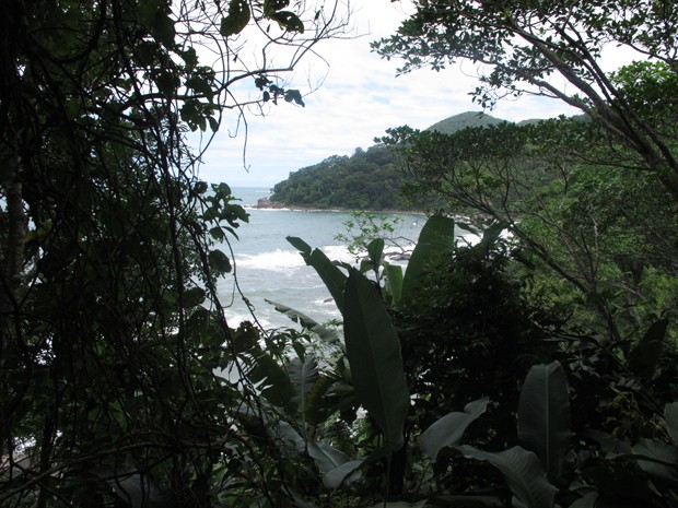 Na trilha entre as praias é possível observar o mar (Foto: Anna Gabriela Ribeiro / G1)