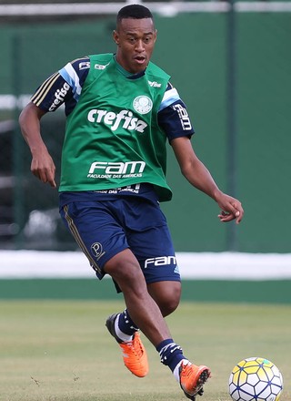 Fabricio Palmeiras (Foto: Cesar Greco/Ag. Palmeiras/Divulgação)