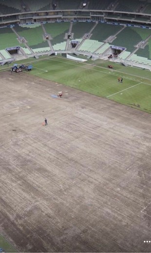 Gramado arena do Palmeiras (Foto: Divulgação)