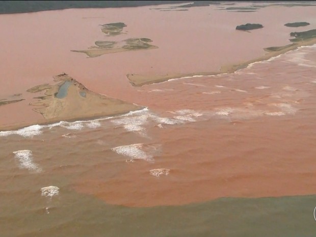 Lama da Samarco muda vida marinha na foz do Rio Doce (Foto: Rede Globo)