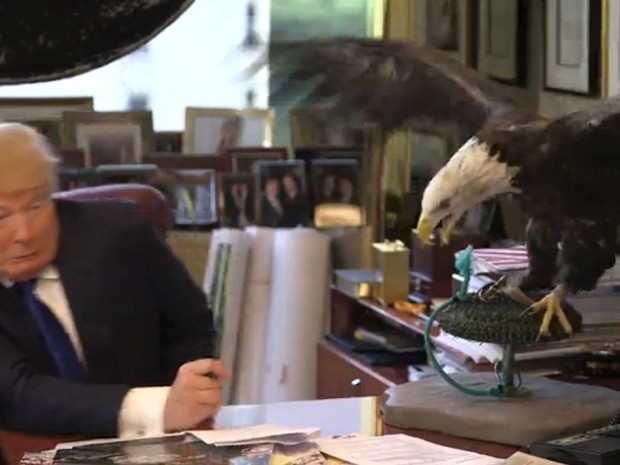 Trump havia posado com a ave durante sessão de fotos para a revista Time (Foto: TIME Magazine/Reuters)