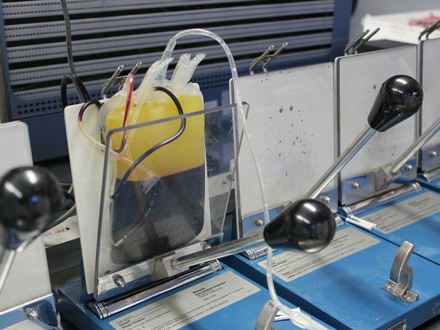 Componentes sanguíneos são separados para passar por novas série de exames de controle de qualidade (Foto: Girlene Medeiros / G1 AM)