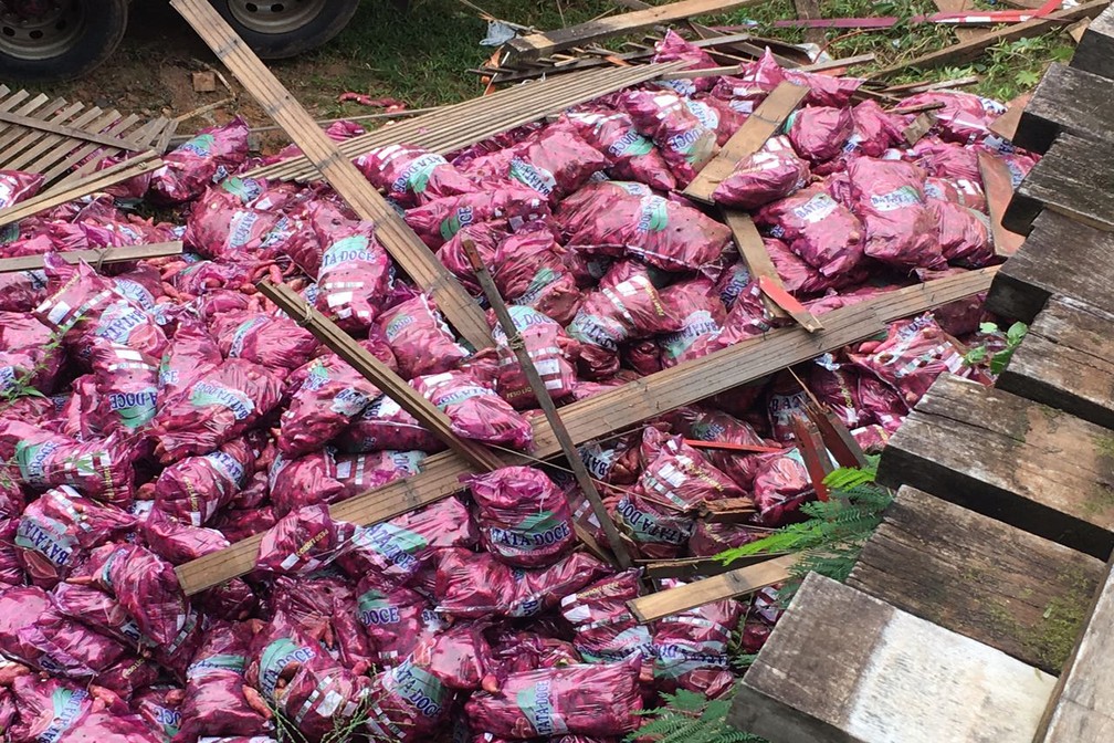 Caminhão caiu da ponte na manhã desta terça-feira (16), em Presidente Prudente (Foto: Valmir Custódio/G1)