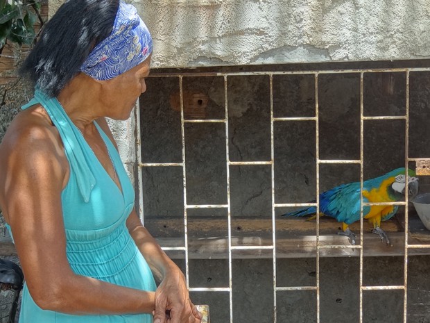 Dona observa ave devolvida dois meses após ter sido apreendida por fiscais ambientais (Foto: Débora Soares/G1)