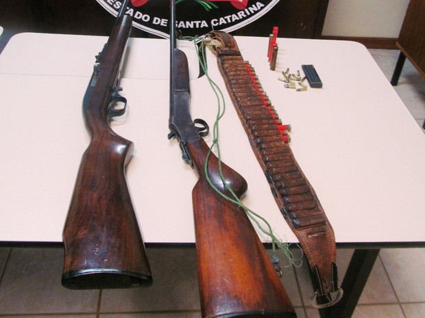 Duas armas de fogo foram apreendidas com o ex-secretário  (Foto: Polícia Civil/Divulgação)