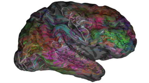 Uma possível aplicação da pesquisa seria rastrear atividade cerebral de pacientes com dificuldade de comunicação, para depois comparar as informações com mapas de linguagem e determinar o que essas pessoas estão tentando dizer  (Foto: Alexander Huth)
