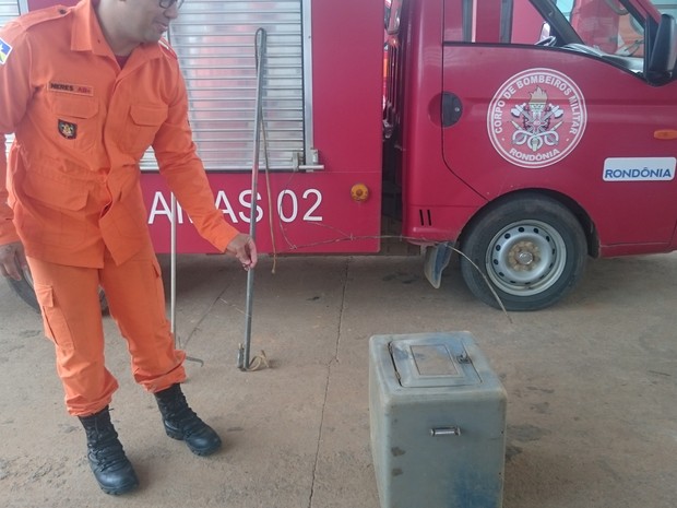 Bombeiros capturaram o animal e o colocaram em uma caixa, que em seguida foi solto na mata (Foto: Jeferson Guedes/G1) Bombeiros capturaram o animal e o colocaram em uma caixa, que em seguida foi solto na mata (Foto: Jeferson Guedes/G1)