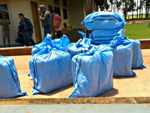 Carregamento de cocaína foi apreendido pela Polícia Militar (Foto: Divulgação/Polícia Civil de Mato Grosso)