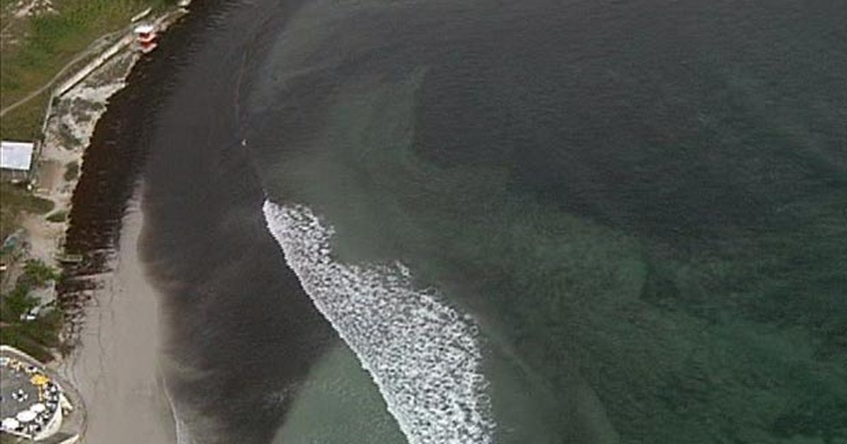 G Praias Da Regi O Dos Lagos Atingidas Por Leo S O Liberadas Para