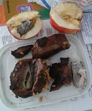 Três papelotes de maconha foram escondidos em um pedaço de carne assada e um dentro de uma maçã (Foto: G1/RN)