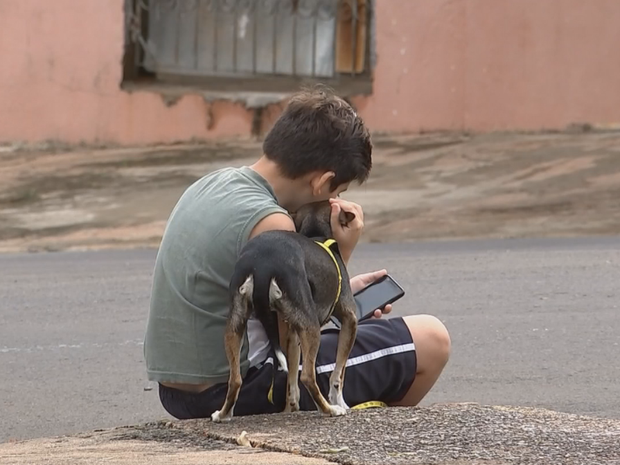 Moradores redobraram cuidados com animais (Foto: Reprodução/TV TEM)