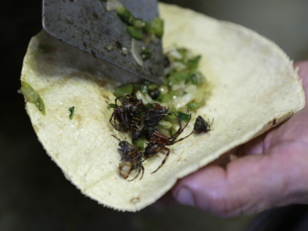 O chef de cozinha Ernesto Martinez prepara um taco com aranhas no restaurante La Cocinita de San Juan (Foto: REUTERS/Henry Romero)