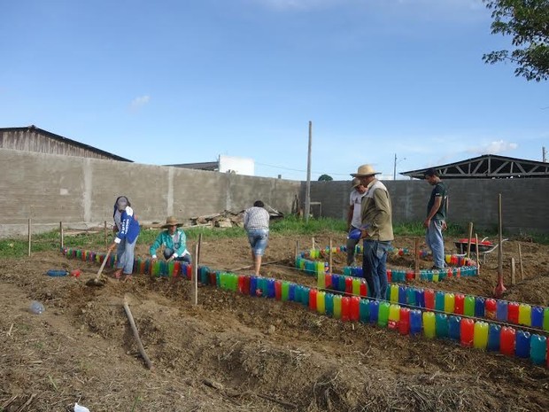 Projeto fomenta criação de Hortas Comunitárias em Itapuã (Foto: Assessoria/Divulgação)