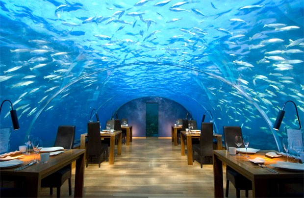 Restaurante subaquático (Foto: Divulgação/Conrad)