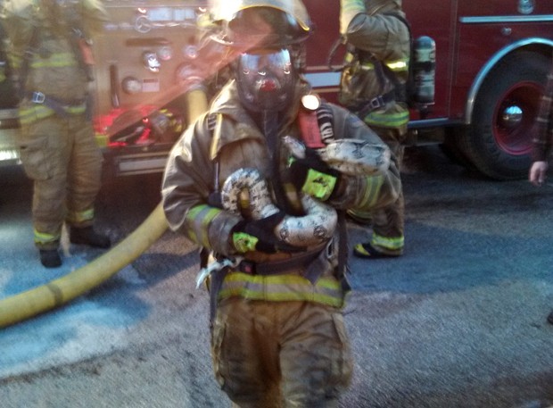 O bombeiro Scott Hemmelsbach é flagrado segurando píton após resgatar animal de incêndio nos EUA (Foto: Gordon Cole/AP)