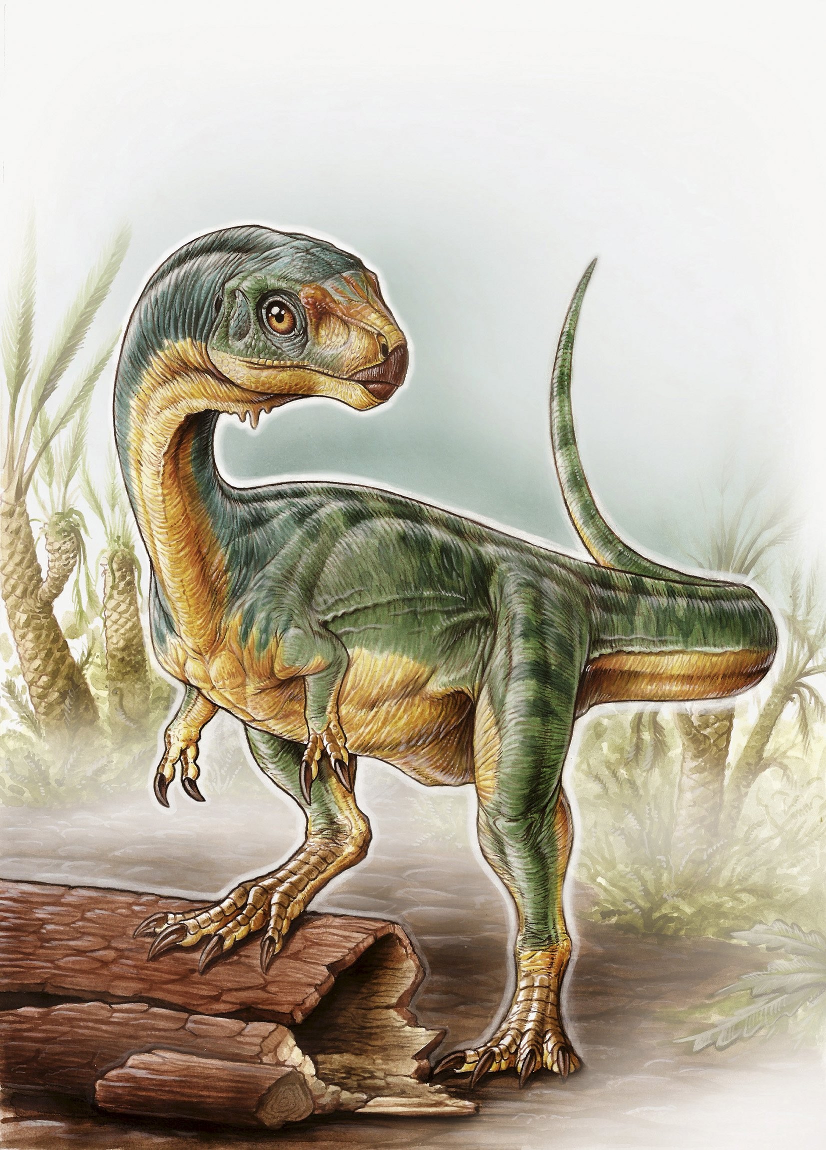 Ilustrao mostra exemplar da nova espcie de dinossauro batizada de 'Chilesaurus diegosuarezi' (Foto: Gabriel Lio/University of Birmingham/Reuters)