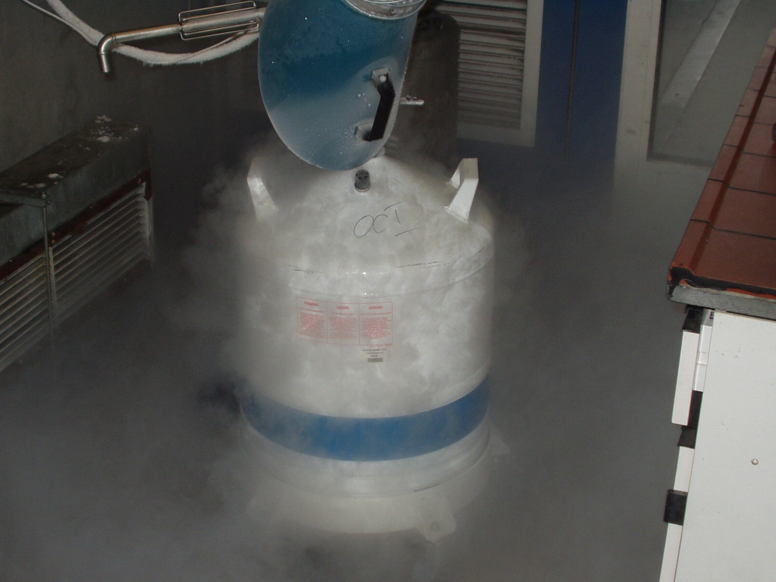 Nitrogênio líquido é usado na técnica de criogenia (congelamento de corpos humanos) (Foto: PxHere/Creative Commons)